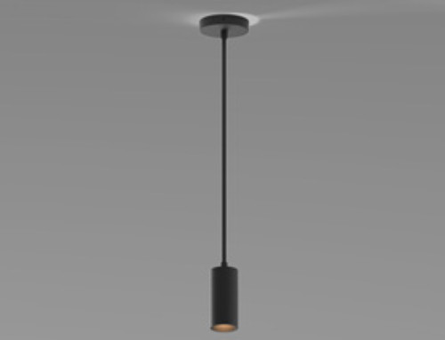 Arca Pendant Spot Light